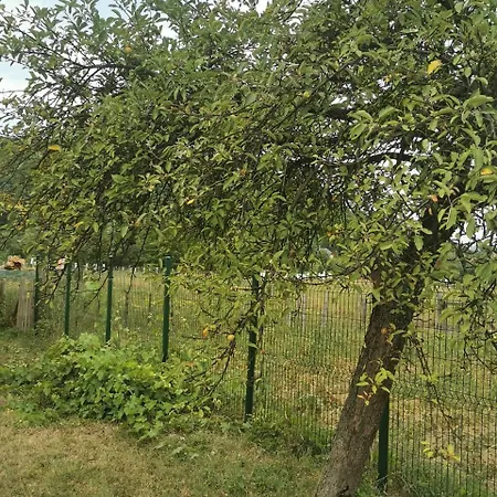 Daire Dr.apartment Potkraj